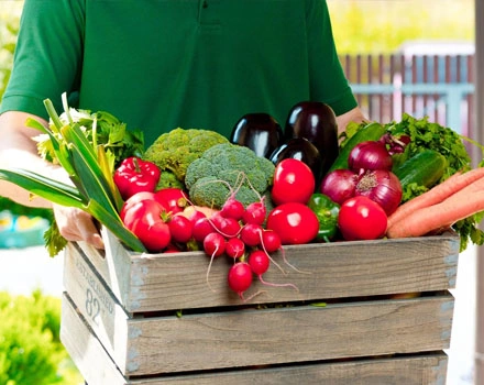 vegetable collection